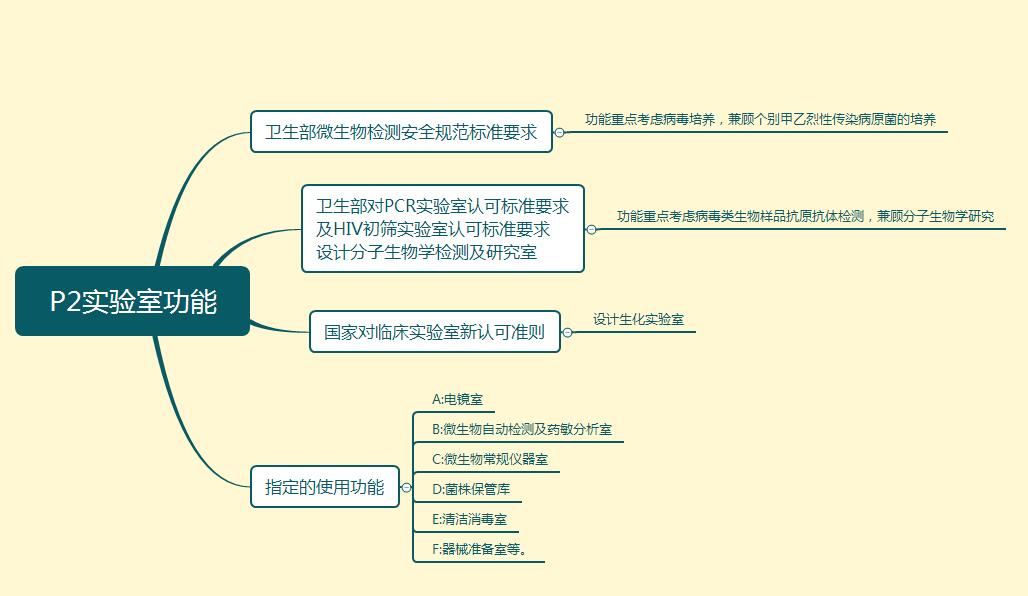 P2十大黄色软件