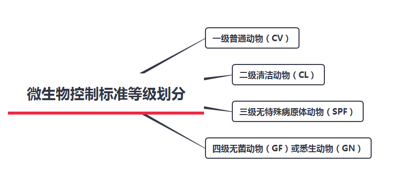 十大黄色软件滮Ҫ֪΢Ʊ׼ȼ